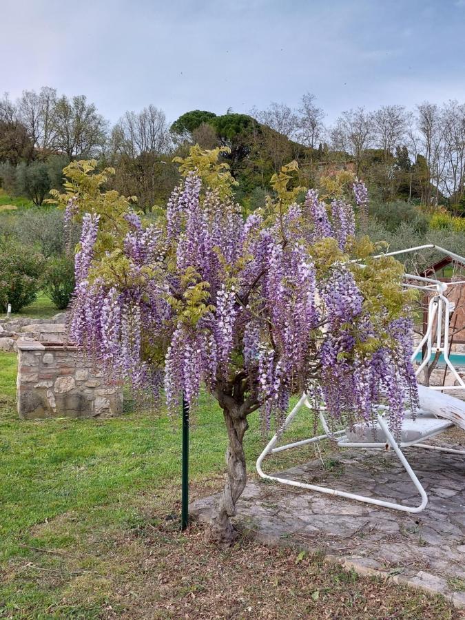 Agriturismo Camera Rosa Тоді Екстер'єр фото
